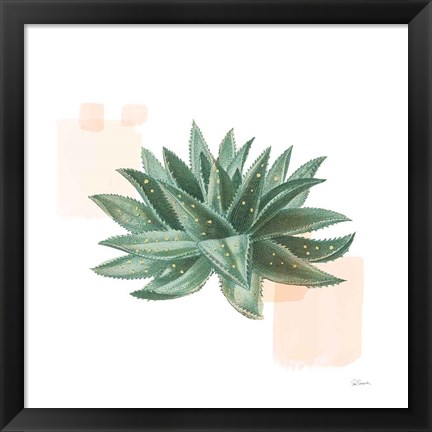 Framed Desert Color Succulent II Print