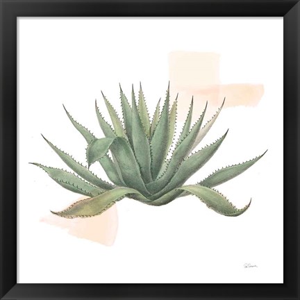 Framed Desert Color Succulent I Print