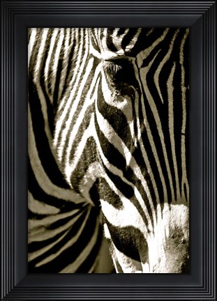 Framed Zebra Head Print