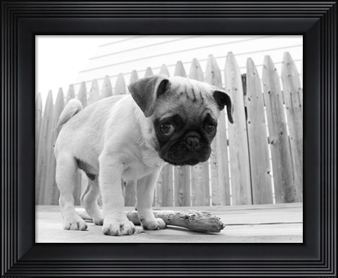 Framed Bentley Print