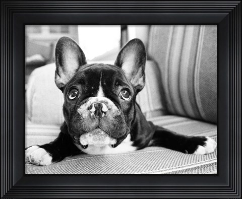 Framed Hugo Print
