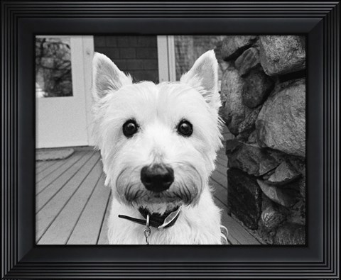 Framed Rosie Print