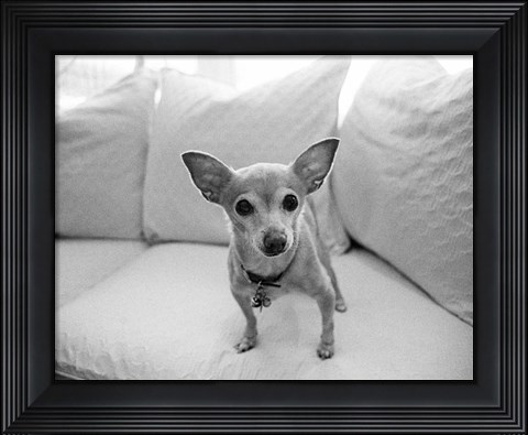 Framed Sweetpea Print