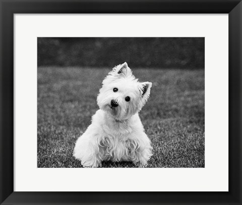 Framed Winnie Print