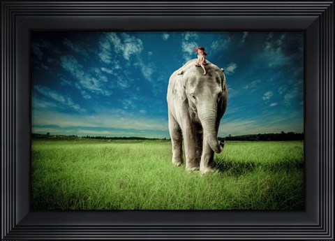 Framed Elephant Carry Me Print