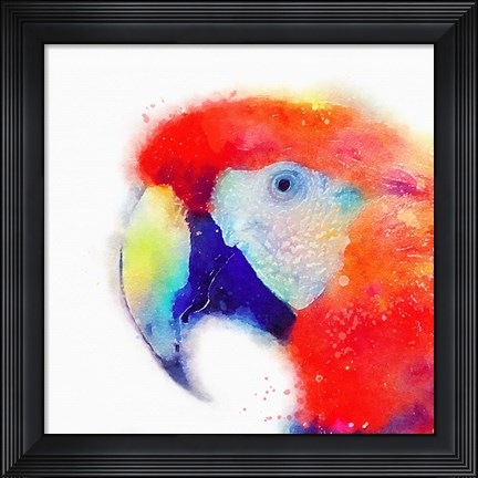 Framed Articulate II Print