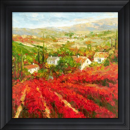 Framed Bourgogne Print