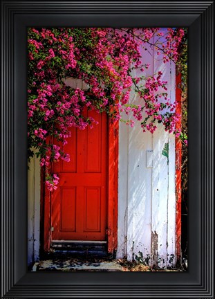 Framed Red Door Print