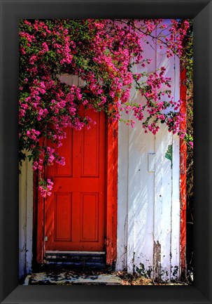 Framed Red Door Print