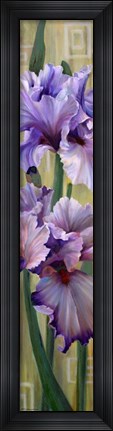 Framed Iris I Print
