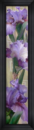 Framed Iris II Print