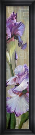 Framed Iris III Print