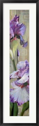 Framed Iris III Print