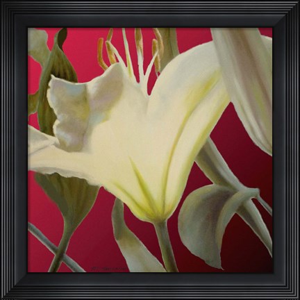 Framed Lily Red Print