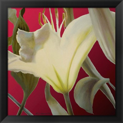 Framed Lily Red Print