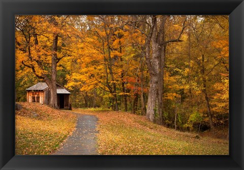 Framed Autumn Home Print