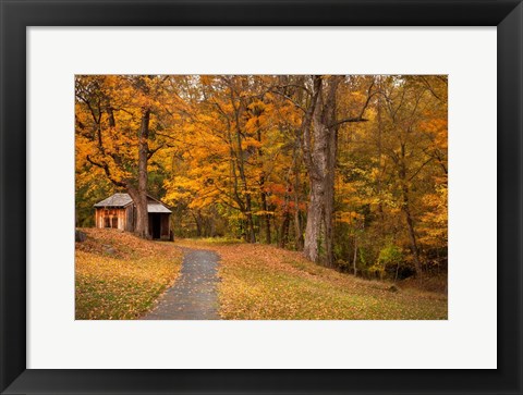 Framed Autumn Home Print