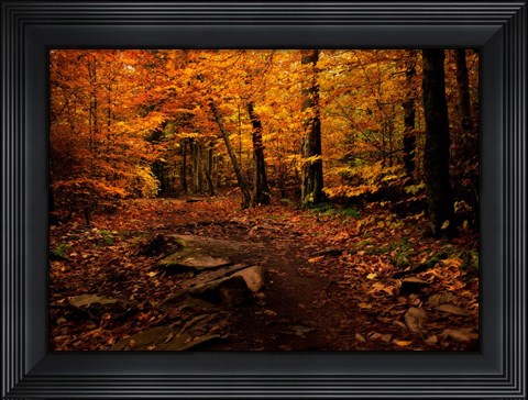 Framed Autumn Path Print
