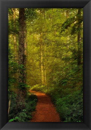 Framed Fairytale Path Print