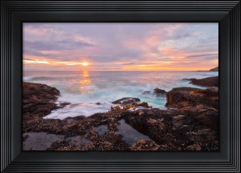 Framed Nature&#39;s Palette Print