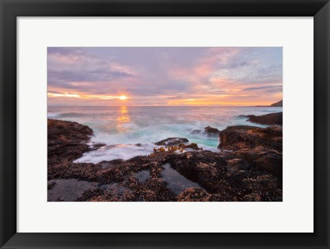 Framed Nature&#39;s Palette Print