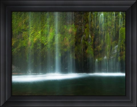 Framed Paradise Print