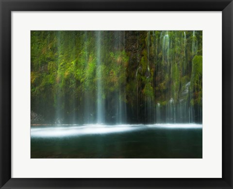 Framed Paradise Print