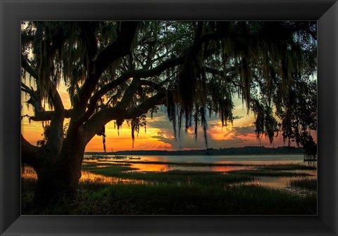 Framed Savannah Evening Print