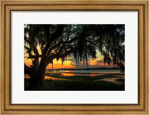 Framed Savannah Evening Print