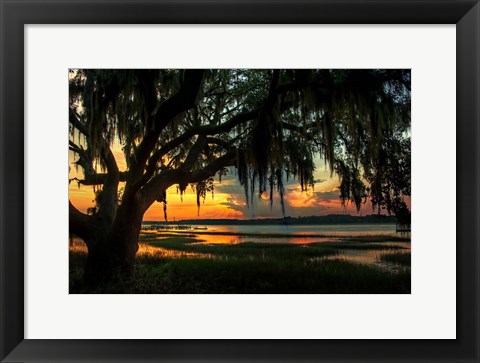 Framed Savannah Evening Print