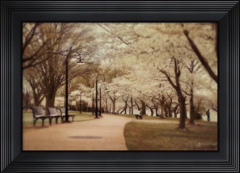 Framed Springtime Stroll Print