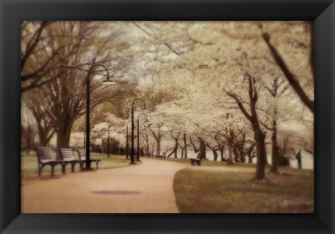 Framed Springtime Stroll Print