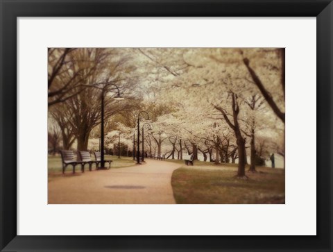 Framed Springtime Stroll Print