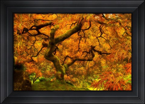 Framed Wild Fire Print