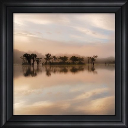 Framed Dawn Mist on the Amazon Print