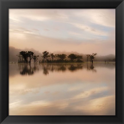 Framed Dawn Mist on the Amazon Print