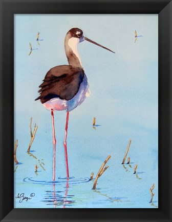 Framed Black Neck Stilt III Print