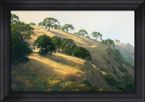 Framed Afternoon Shadows Print