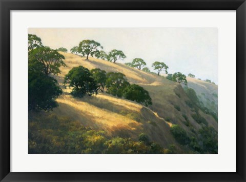 Framed Afternoon Shadows Print