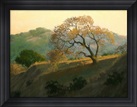 Framed Buckeye Glow Print