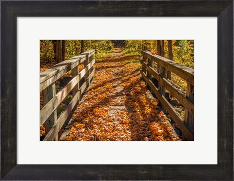 Framed Fall On The Footbridge Print