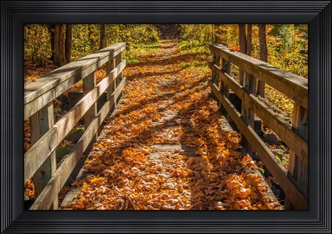 Framed Fall On The Footbridge Print
