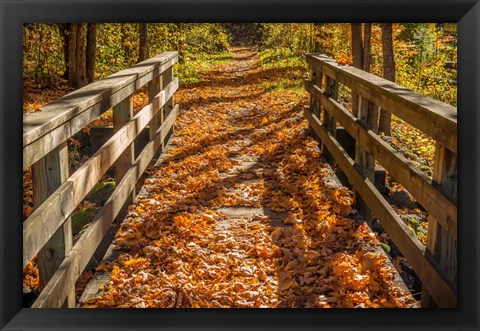 Framed Fall On The Footbridge Print