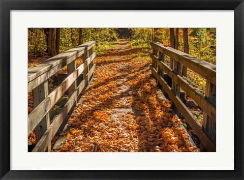 Framed Fall On The Footbridge Print