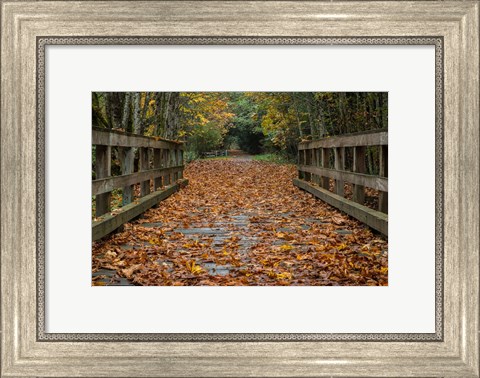 Framed Fall on the Goose (Victoria) Print