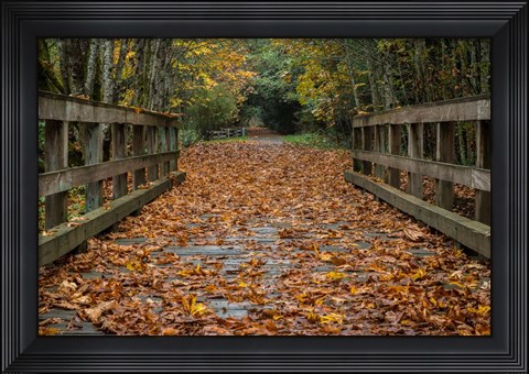 Framed Fall on the Goose (Victoria) Print