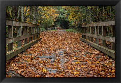 Framed Fall on the Goose (Victoria) Print