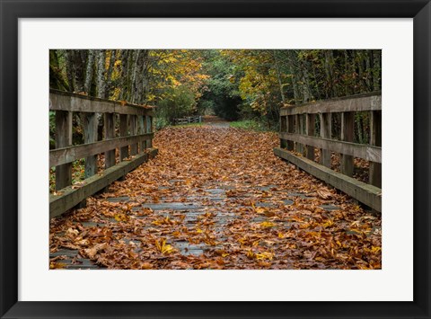 Framed Fall on the Goose (Victoria) Print