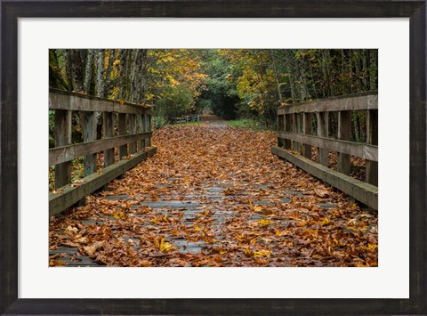 Framed Fall on the Goose (Victoria) Print