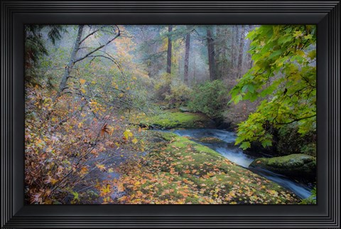 Framed Snow in Fall Print